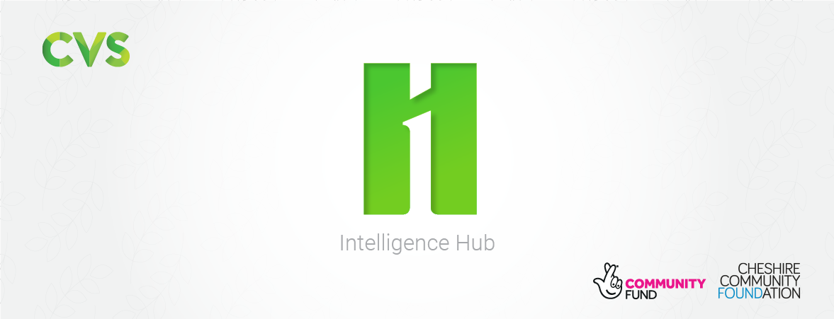 CVS Intelligence Hub logo