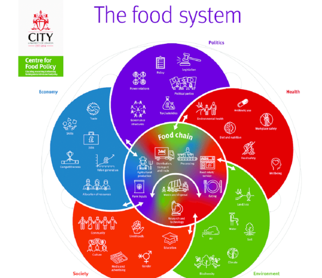 Mapping the food system (Parsons et al., 2019) | Download Scientific ...