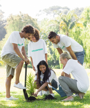 Volunteers and the Law Picture