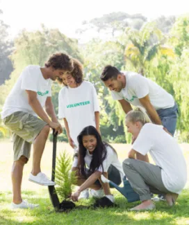 Volunteers and the Law Picture